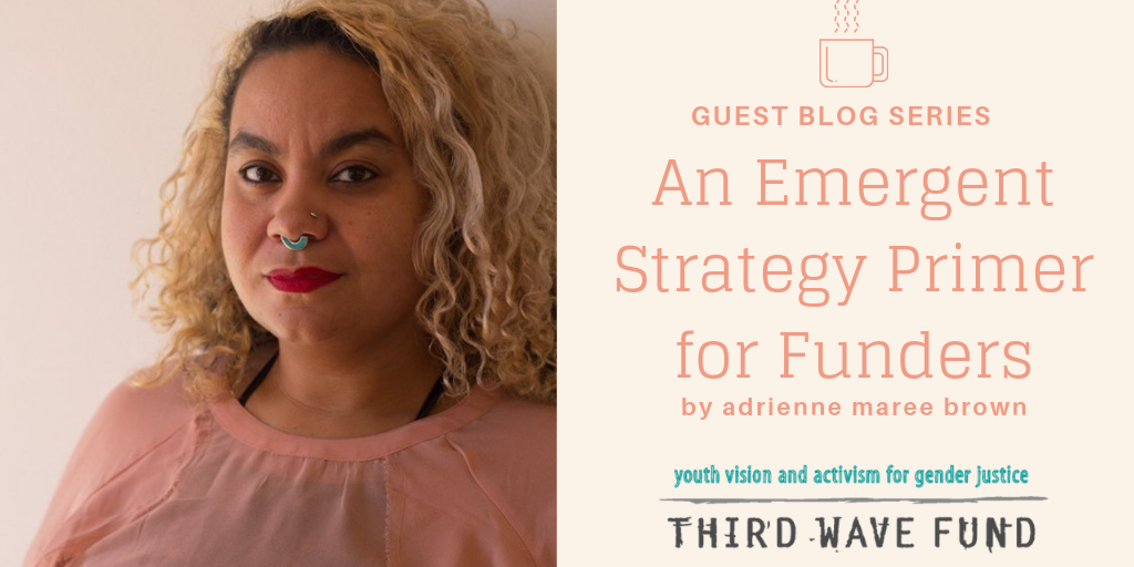 an-emergent-strategy-primer-for-funders_orig